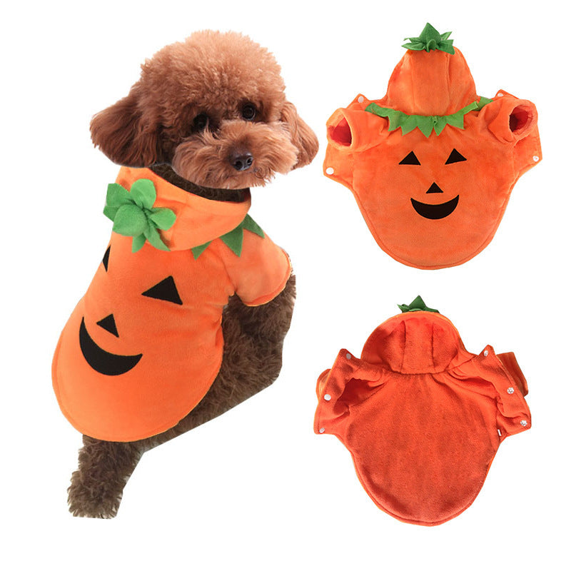 Halloween Pumpkin Pet Costume