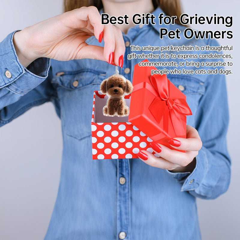 Pet Hair Memorial Keychain Box