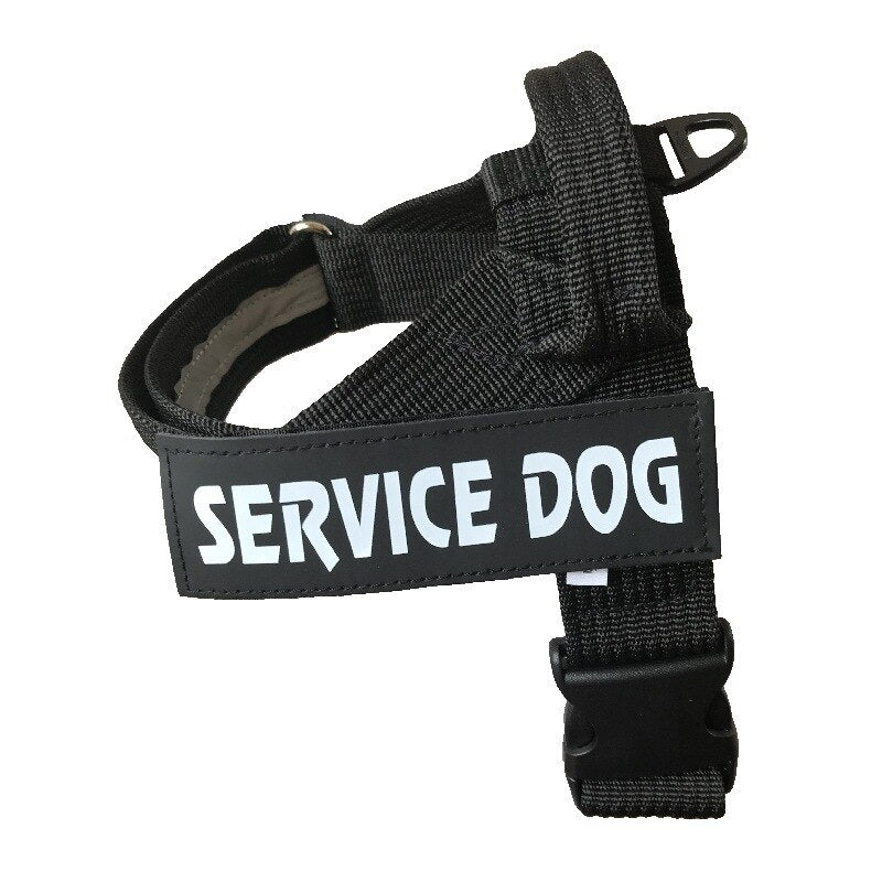 Personalisiertes, verstellbares Hundegeschirr
