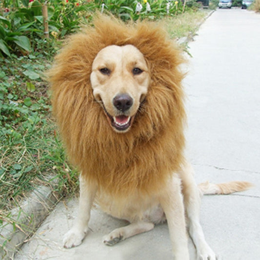 Lion Mane Wig Hat for Dogs