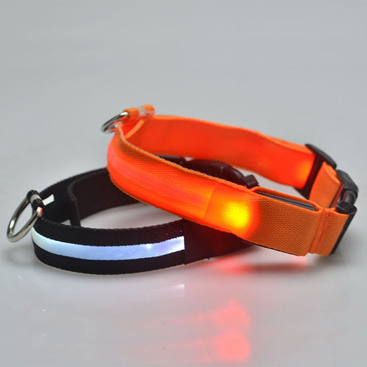 USB Rechargeable LED Dog Collar