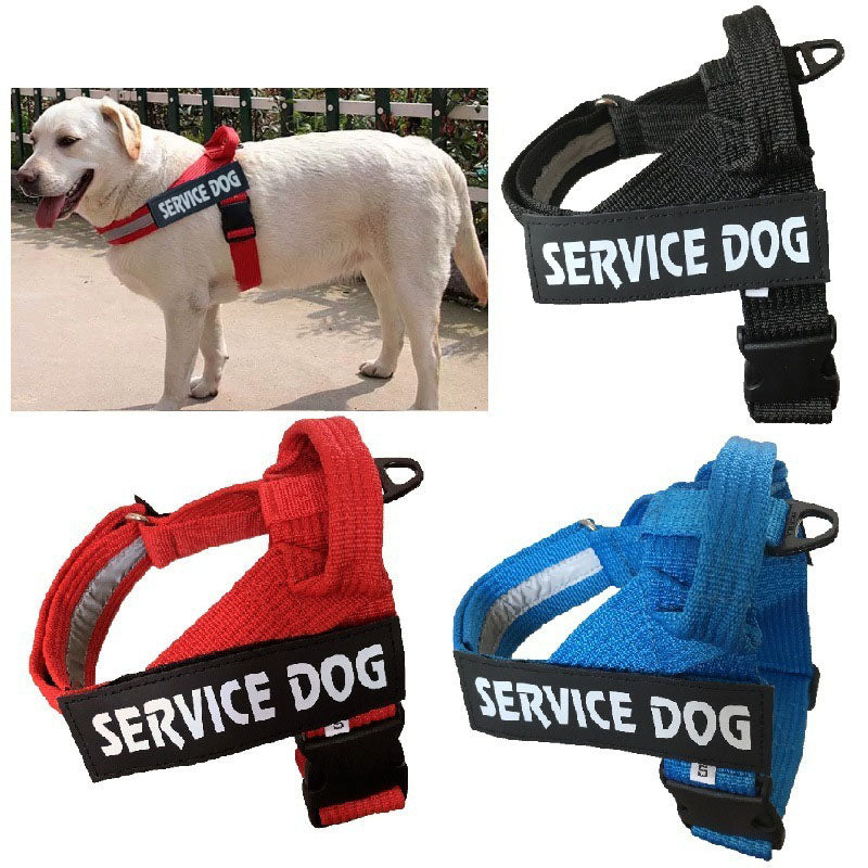 Harnais personnalisable et ajustable pour chien