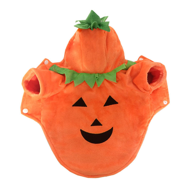 Halloween-Kürbis-Haustierkostüm