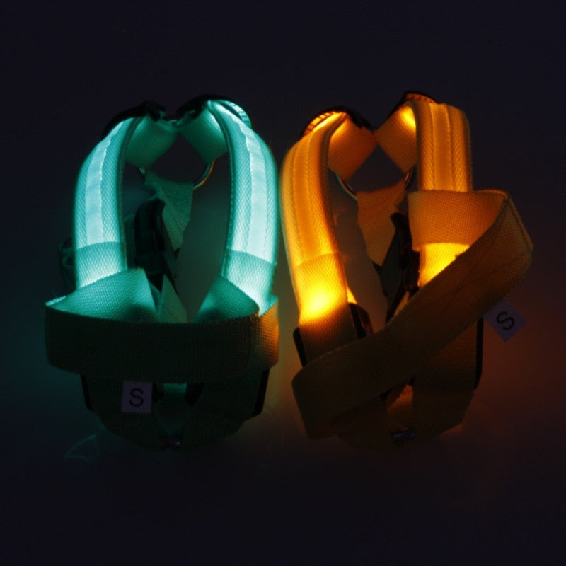 LED-Sicherheits-Hundegeschirr mit Blinkfunktion