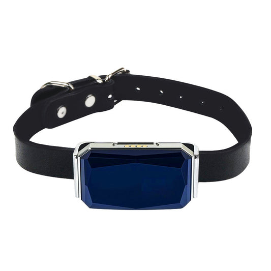 G12 Mini Waterproof GPS Pet Tracker