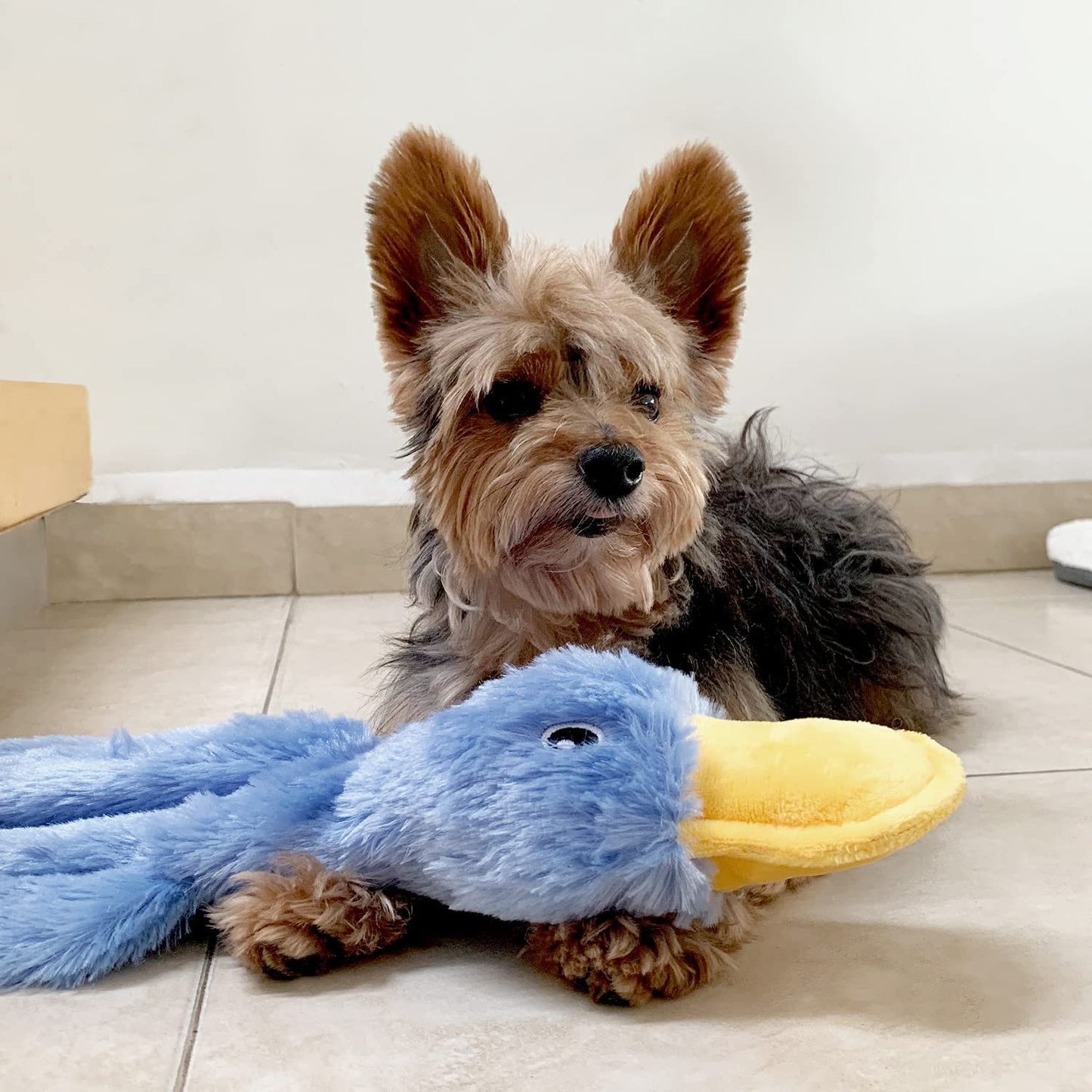 Jouet pour chien canard couineur en peluche