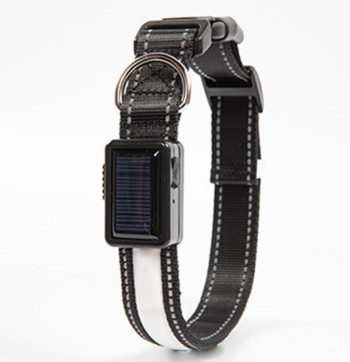 Solar LED Flashing Dog Collar