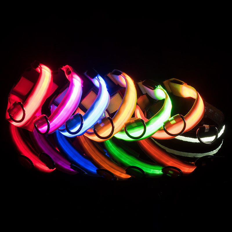 USB wiederaufladbares LED-Hundehalsband