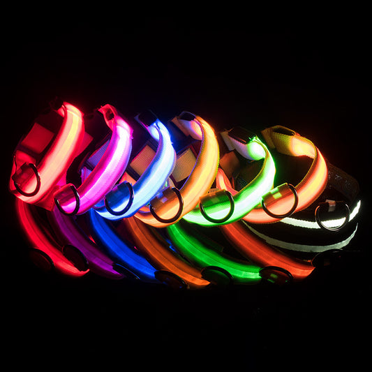 USB Rechargeable LED Dog Collar