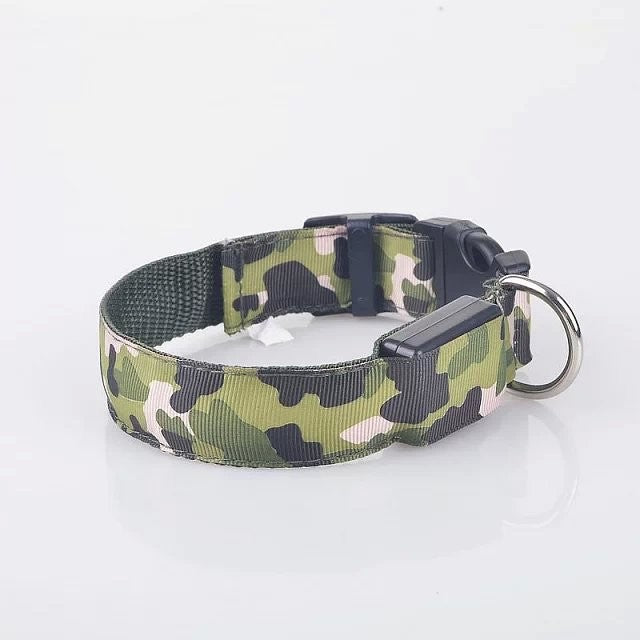 USB wiederaufladbares LED-Hundehalsband