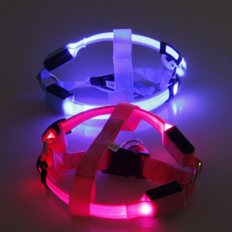 LED-Sicherheits-Hundegeschirr mit Blinkfunktion