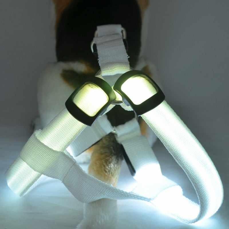 LED-Sicherheits-Hundegeschirr mit Blinkfunktion