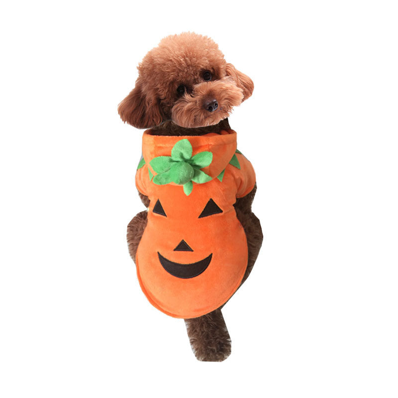 Halloween-Kürbis-Haustierkostüm