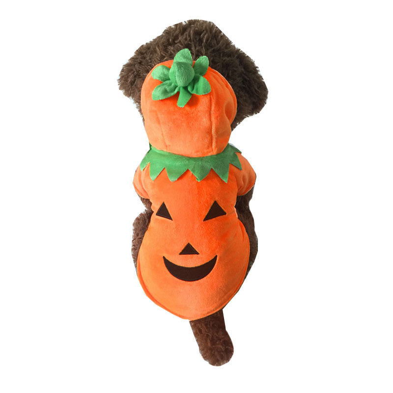 Halloween-Kürbis-Haustierkostüm