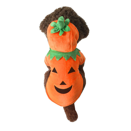 Halloween Pumpkin Pet Costume