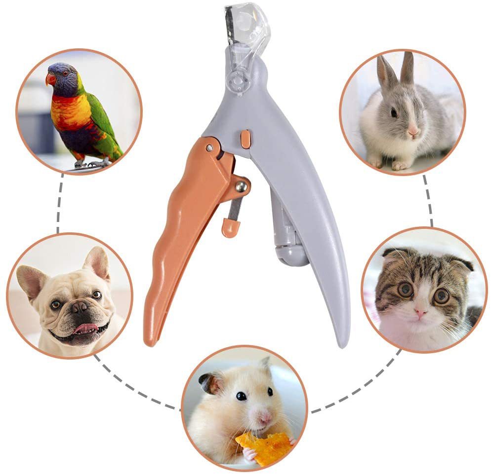 LED-Nagelknipser für Katzen und Hunde