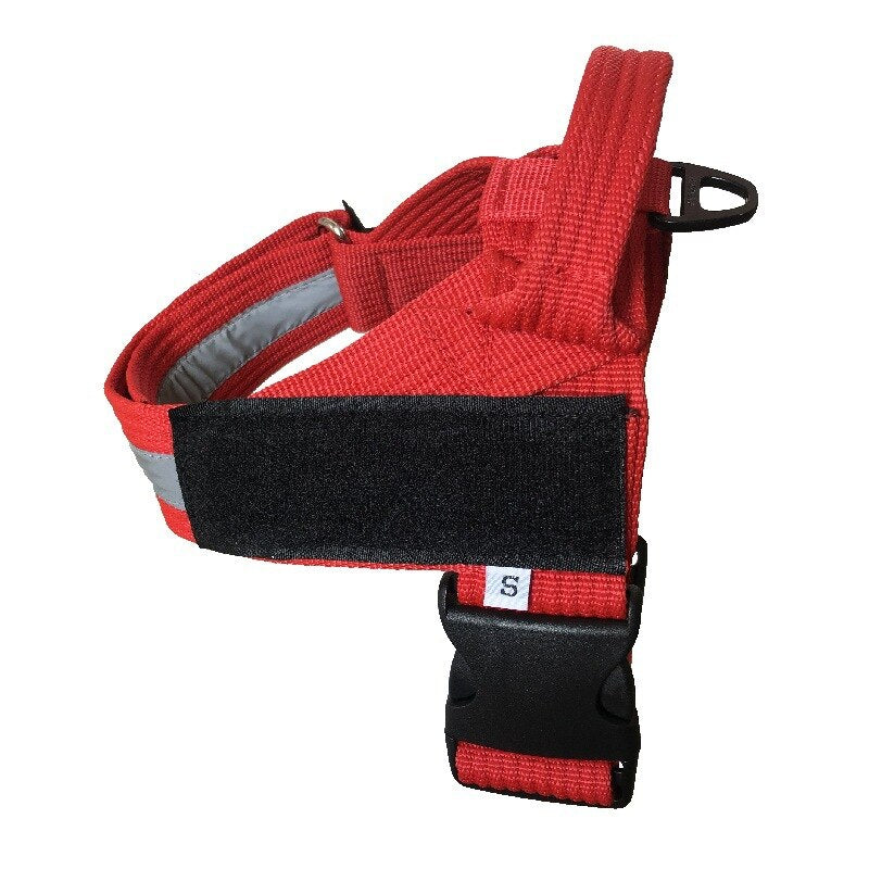 Harnais personnalisable et ajustable pour chien