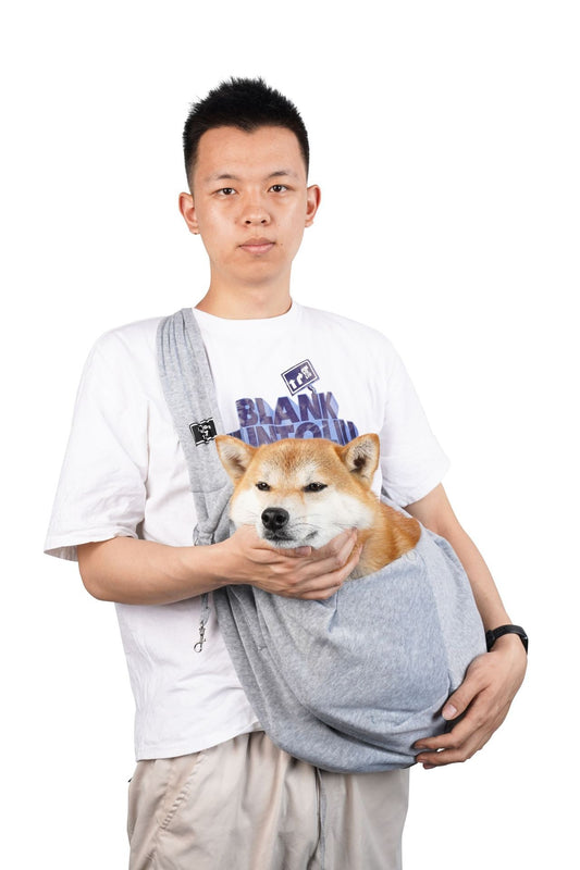 Foldable Crossbody Pet Carrier Bag
