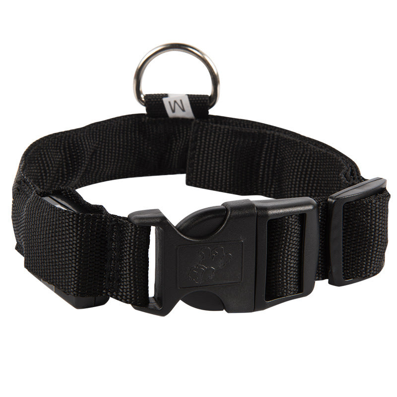 USB wiederaufladbares LED-Hundehalsband