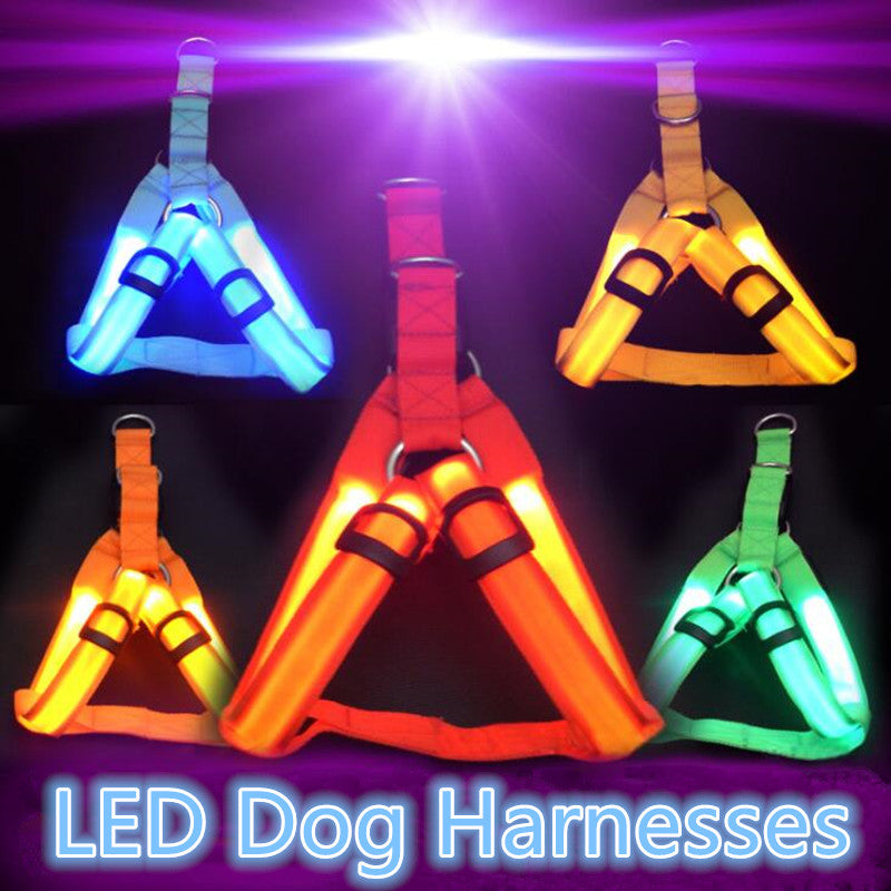 LED-Sicherheits-Hundegeschirr mit Blinkfunktion