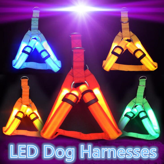 LED Flashing Safety Dog Harness