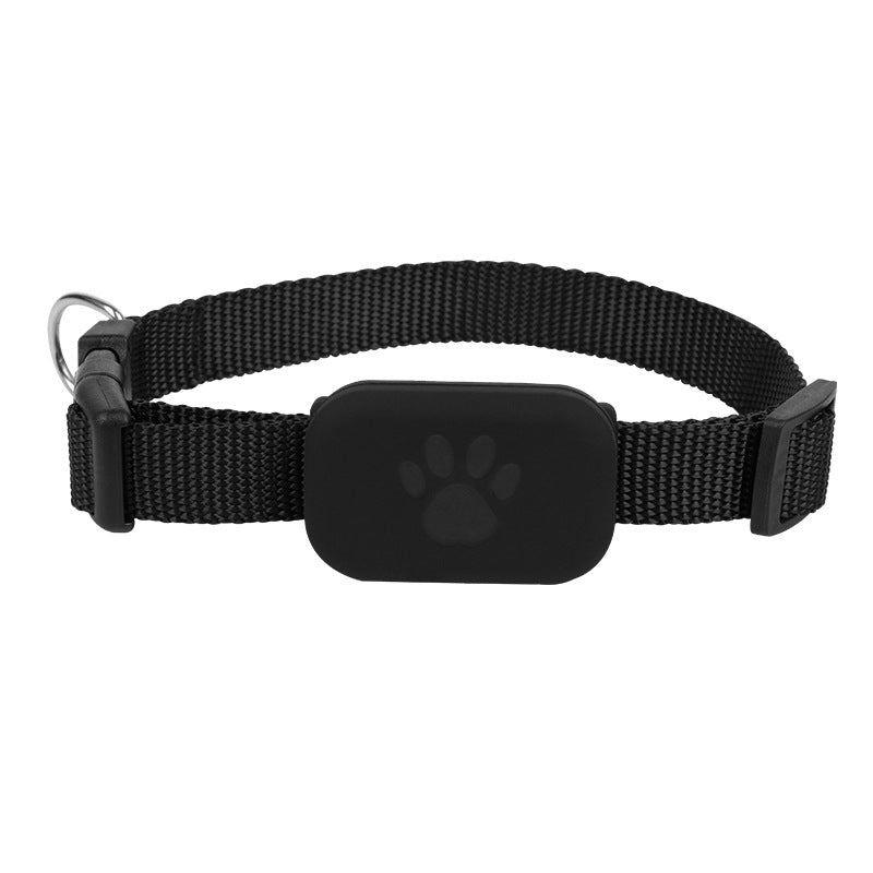 Collier intelligent de localisation GPS pour chats et chiens