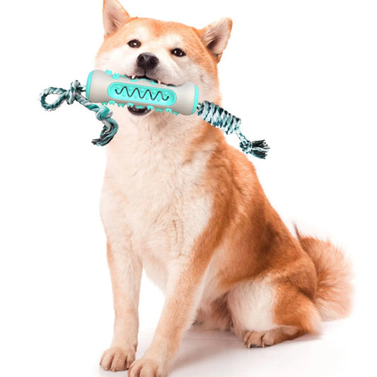 Dog Dental Chew Toy & Toothbrush