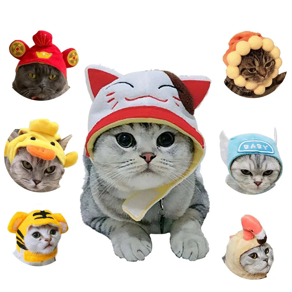 Chapeau de fête pour animaux de compagnie