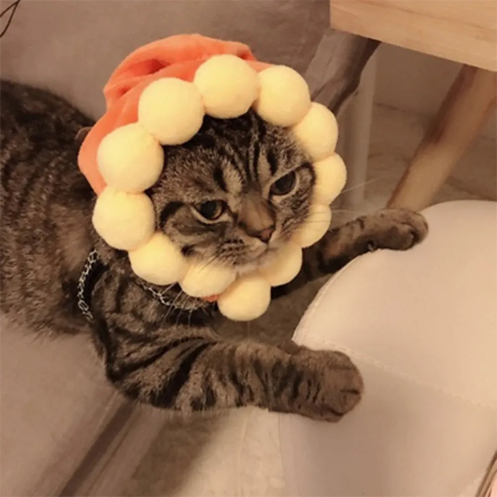 Chapeau de fête pour animaux de compagnie